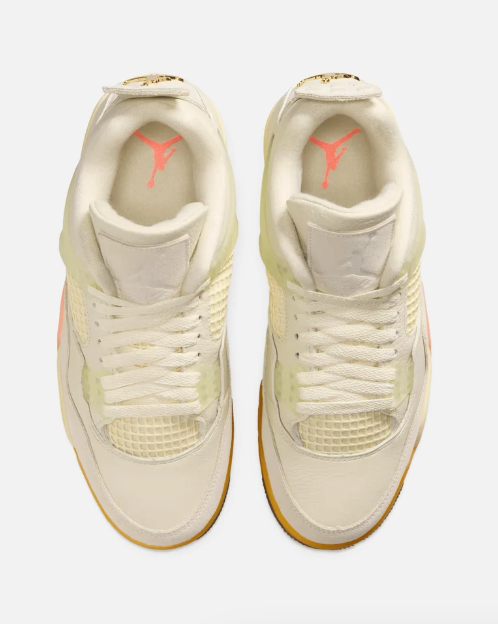 Air Jordan 4 Women's 'Birds of Paradise'