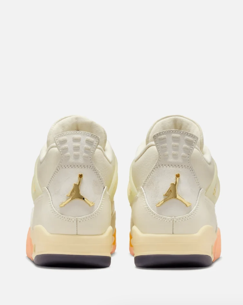 Air Jordan 4 Women's 'Birds of Paradise'